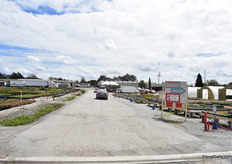 Way to the trial location at Suncrest.